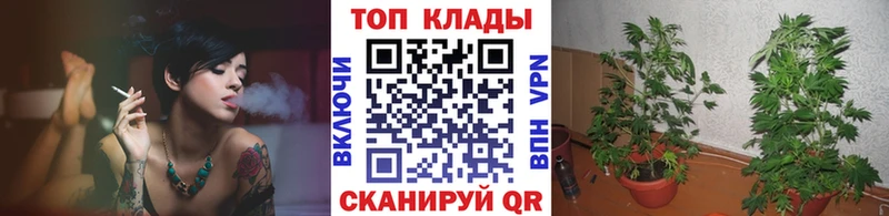 Купить наркотики цена Заречный ГАШ Бошки Шишки Метамфетамин МЕФ Cocaine