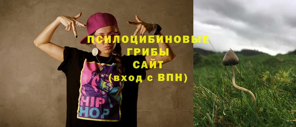 прущие грибы Арсеньев