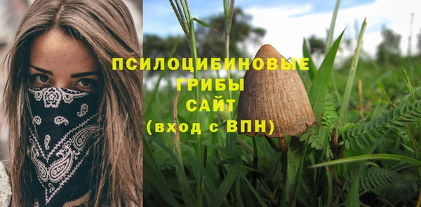 ECSTASY Армянск
