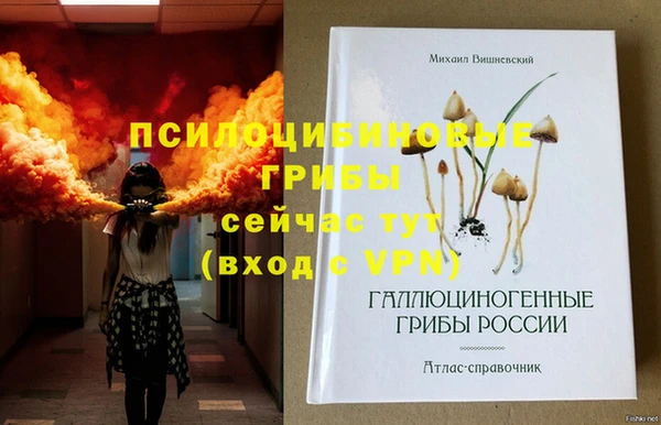 ECSTASY Армянск