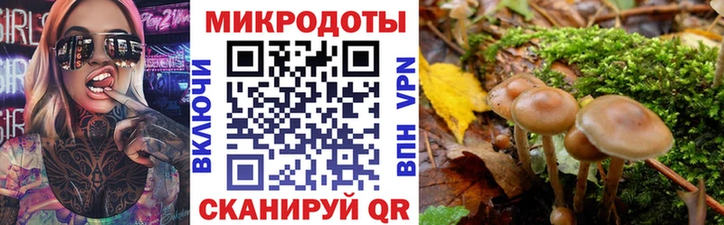 ссылка на мегу сайт  Заречный  Галлюциногенные грибы Magic Shrooms  цены  